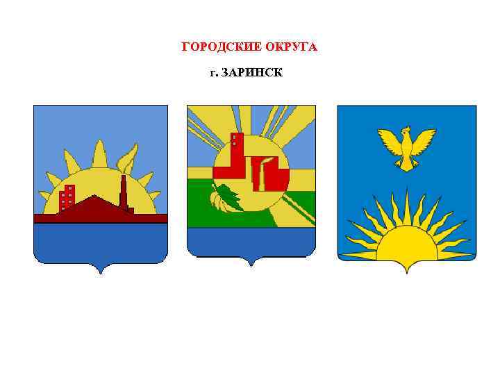 ГОРОДСКИЕ ОКРУГА г. ЗАРИНСК 