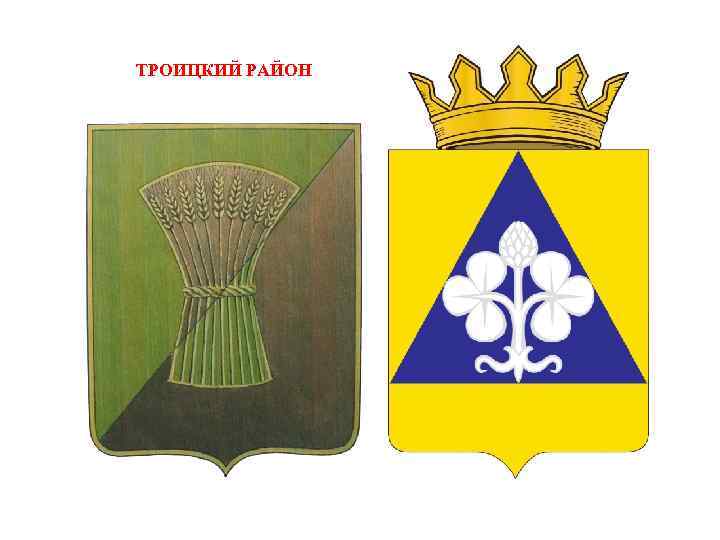 ТРОИЦКИЙ РАЙОН 