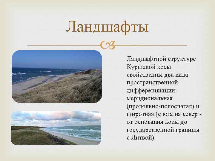 Ландшафты Ландшафтной структуре Куршской косы свойственны два вида пространственной дифференциации: меридиональная (продольно-полосчатая) и широтная