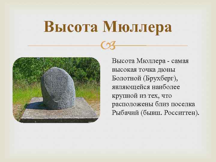 Высота Мюллера - самая высокая точка дюны Болотной (Брухберг), являющейся наиболее крупной из тех,