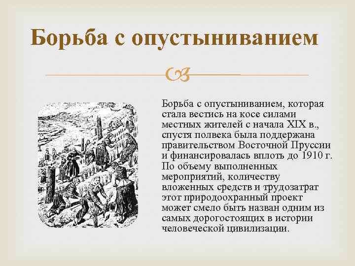 Борьба с опустыниванием Борьба с опустыниванием, которая стала вестись на косе силами местных жителей