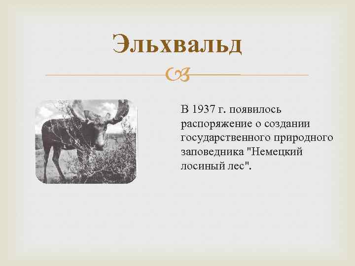 Эльхвальд В 1937 г. появилось распоряжение о создании государственного природного заповедника "Немецкий лосиный лес".