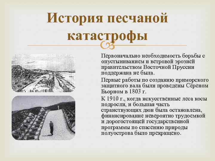 История песчаной катастрофы Первоначально необходимость борьбы с опустыниванием и ветровой эрозией правительством Восточной Пруссии