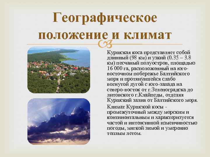 Географическое положение и климат Куршская коса представляет собой длинный (98 км) и узкий (0.