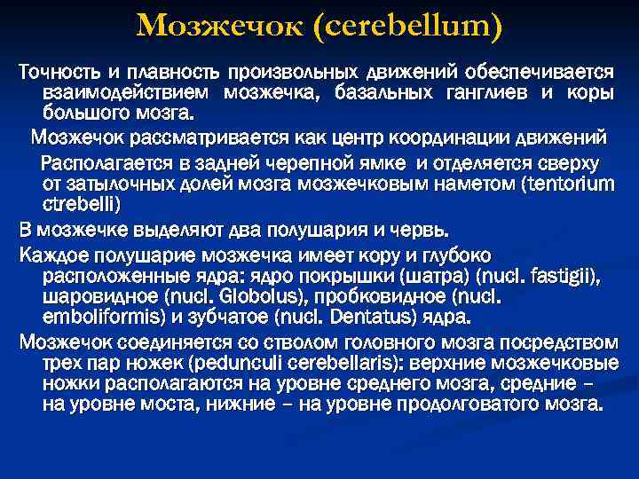 Мозжечок (cerebellum) Точность и плавность произвольных движений обеспечивается взаимодействием мозжечка, базальных ганглиев и коры