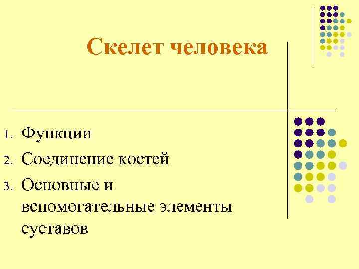Скелет человека 1. 2. 3. Функции Соединение костей Основные и вспомогательные элементы суставов 