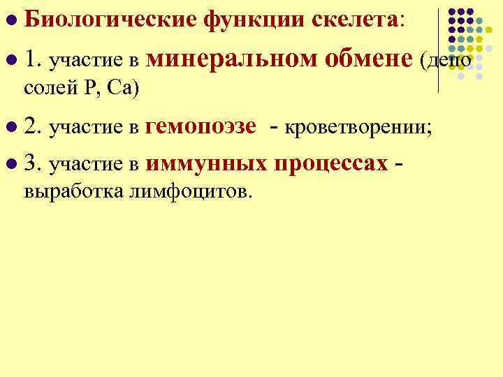 l Биологические функции скелета: l 1. участие в минеральном обмене (депо солей P, Ca)
