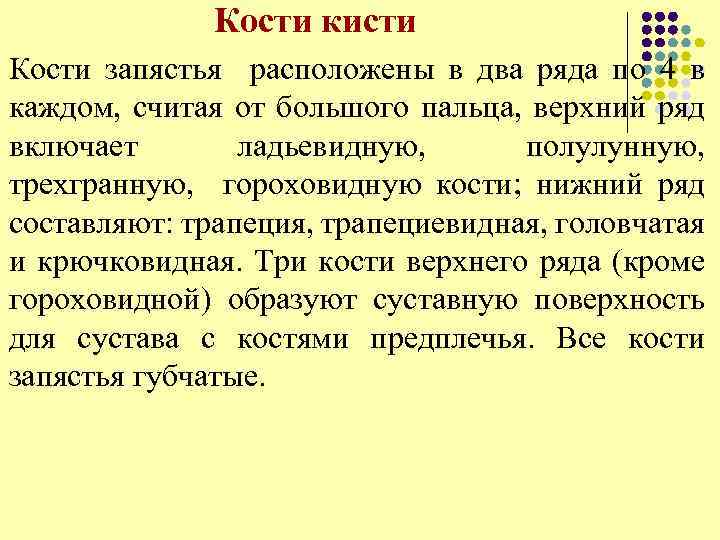 Кости кисти Кости запястья расположены в два ряда по 4 в каждом, считая от