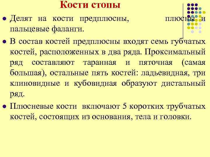  Кости стопы l l l Делят на кости предплюсны, плюсны и пальцевые фаланги.