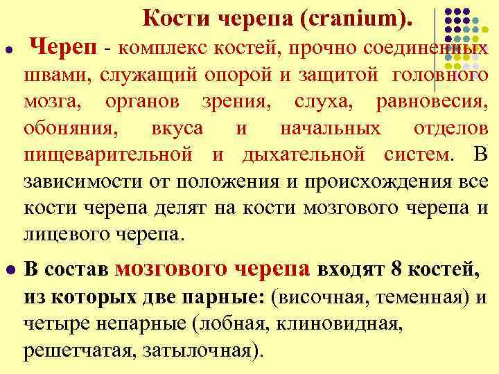  Кости черепа (cranium). l Череп - комплекс костей, прочно соединенных швами, служащий опорой