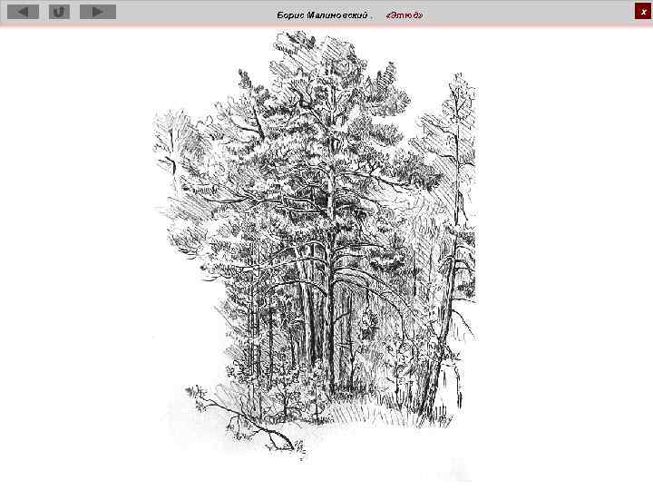 Борис Малиновский. «Этюд» х 