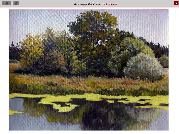 Святозар Михайлов. «Комарин» х 