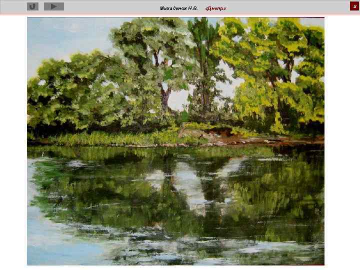 Михаденок Н. В. «Днепр» х 