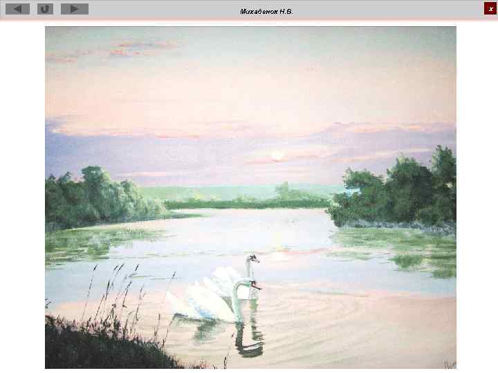 Михаденок Н. В. х 