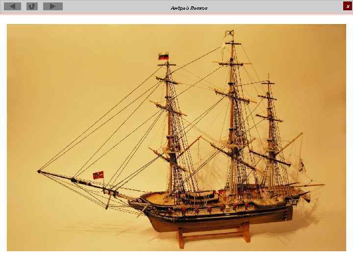 Андрей Левков х 