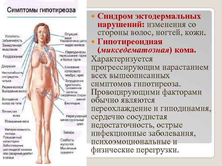 Гипотиреоз виды причины механизмы развития основных проявлений презентация