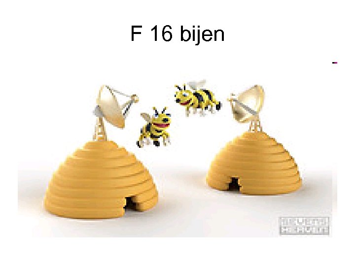 F 16 bijen 