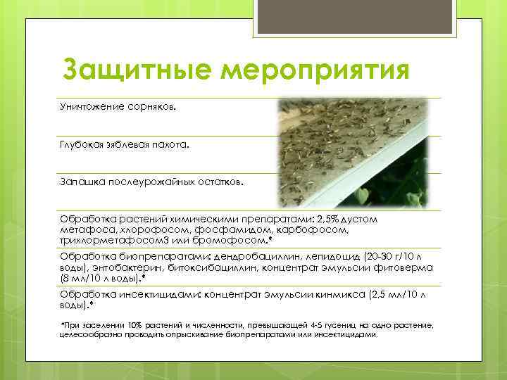 Защитные мероприятия Уничтожение сорняков. Глубокая зяблевая пахота. Запашка послеурожайных остатков. Обработка растений химическими препаратами: