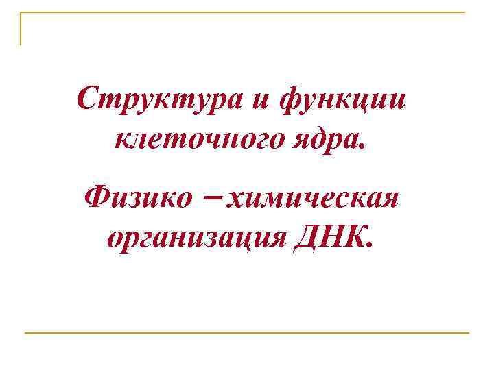Структура и функции клеточного ядра. Физико химическая организация ДНК. 
