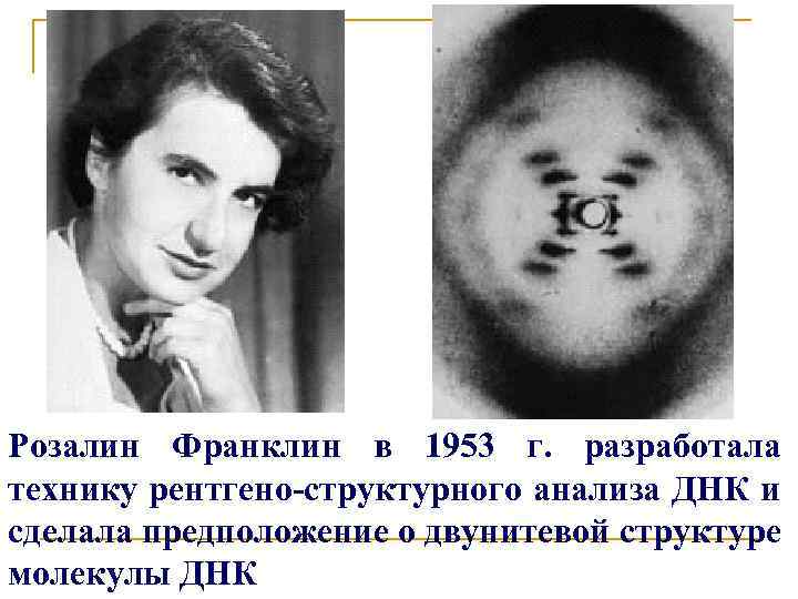 Розалин Франклин в 1953 г. разработала технику рентгено-структурного анализа ДНК и сделала предположение о