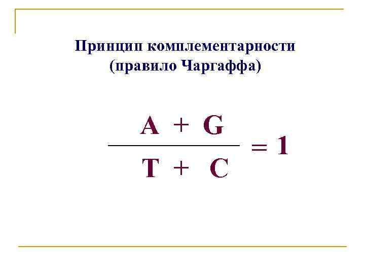 Принцип комплементарности (правило Чаргаффа) А + G T + C =1 
