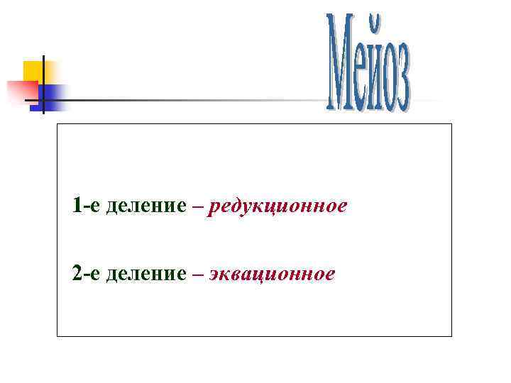 1 -е деление – редукционное 2 -е деление – эквационное 