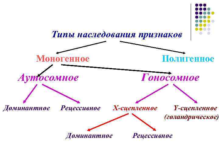 Типы наследования. Типы наследования признаков схема. Наследование типы наследования. Типы наследования генетика. Основные типы наследования признаков у человека.