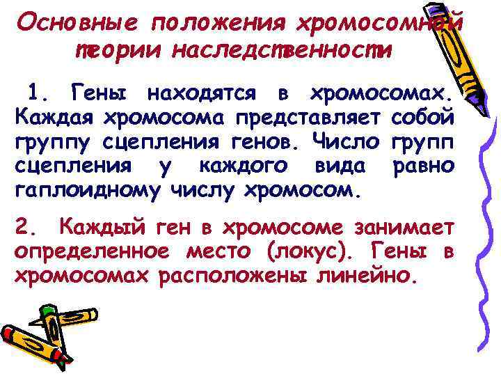 Основные положения хромосомной теории наследственности 1. Гены находятся в хромосомах. Каждая хромосома представляет собой