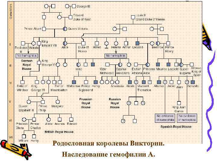 План наследование обществознание