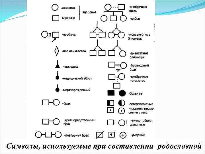 Символы, используемые при составлении родословной 