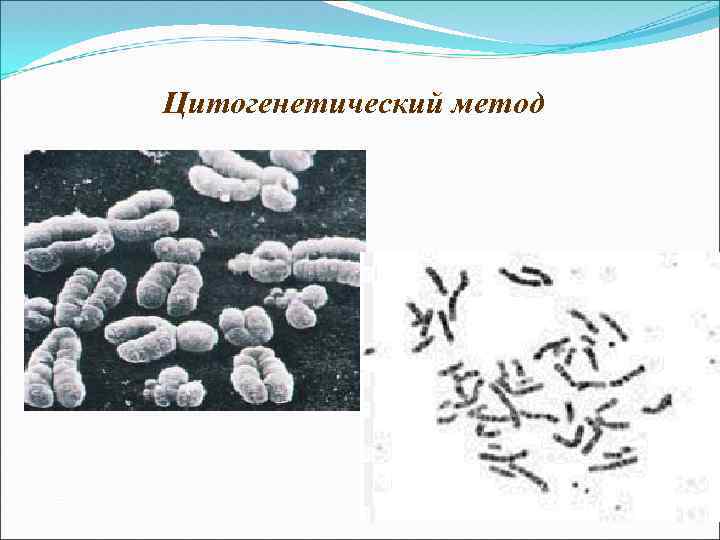 Цитогенетический метод 