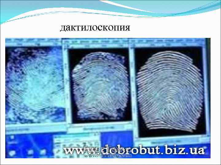 дактилоскопия 