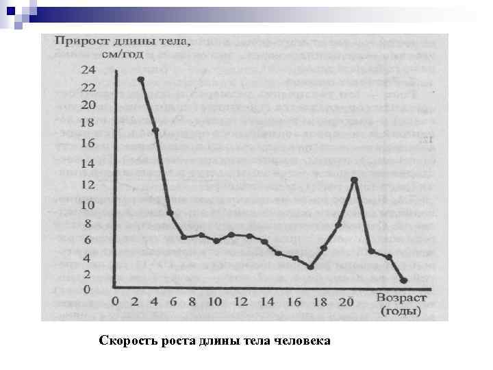Скорость роста длины тела человека 