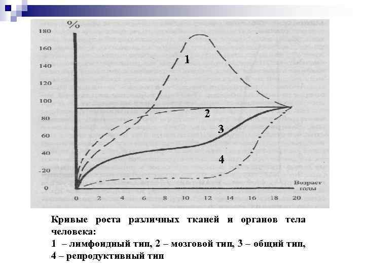 Работа тела за цикл