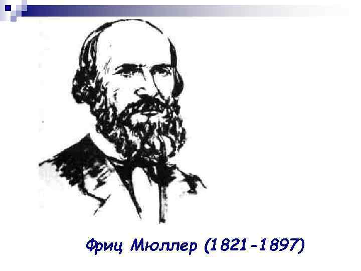 Фриц Мюллер (1821 -1897) 