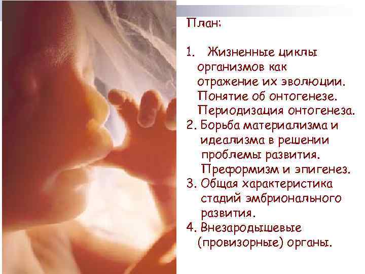 План: 1. Жизненные циклы организмов как отражение их эволюции. Понятие об онтогенезе. Периодизация онтогенеза.