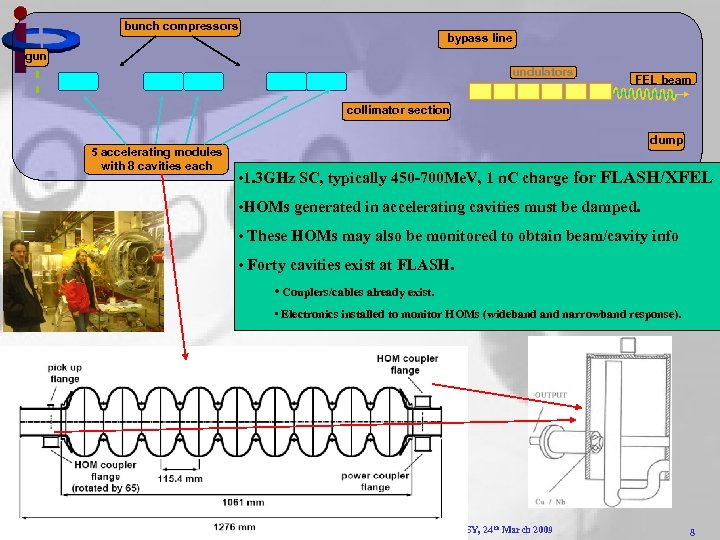 bunch compressors bypass line gun undulators FEL beam collimator section 5 accelerating modules with