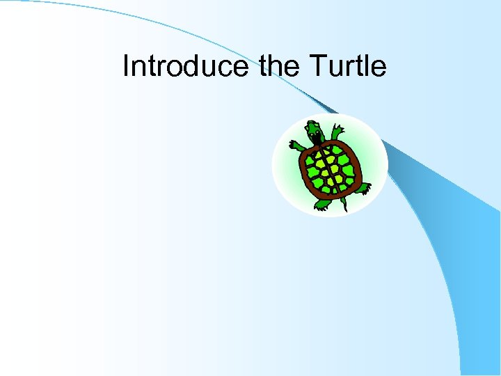Introduce the Turtle 