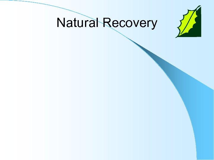Natural Recovery 