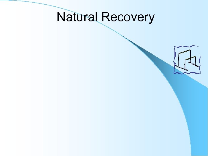 Natural Recovery 