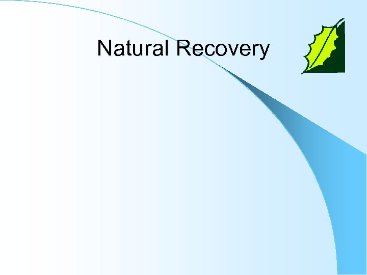 Natural Recovery 