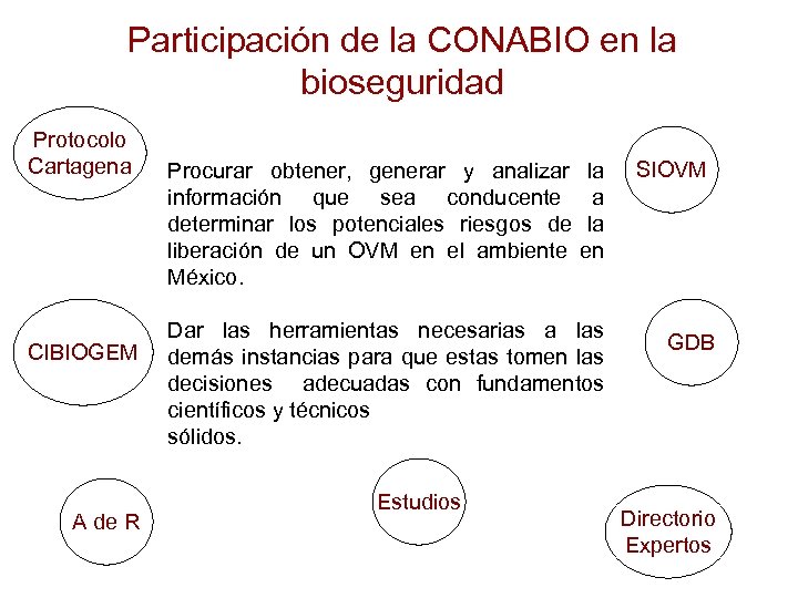 Participación de la CONABIO en la bioseguridad Protocolo Cartagena CIBIOGEM A de R Procurar