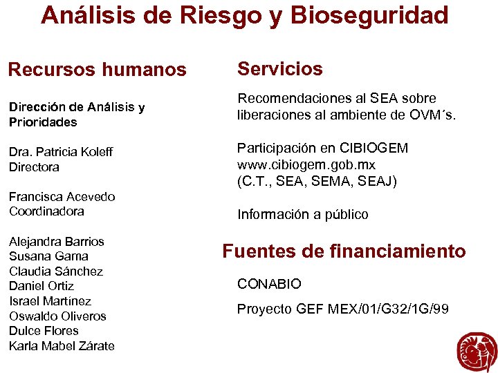 Análisis de Riesgo y Bioseguridad Recursos humanos Dirección de Análisis y Prioridades Dra. Patricia