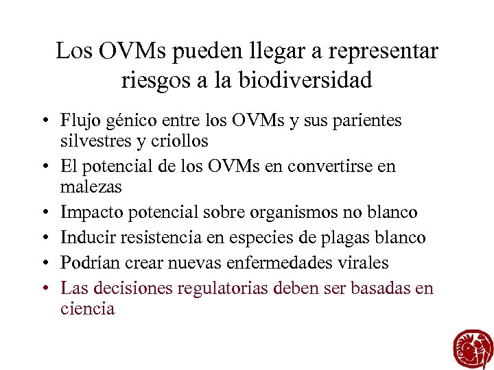 Los OVMs pueden llegar a representar riesgos a la biodiversidad • Flujo génico entre