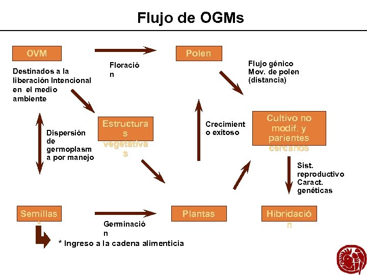 Flujo de OGMs Polen OVM Destinados a la liberación Intencional en el medio ambiente