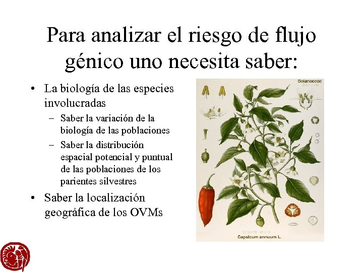 Para analizar el riesgo de flujo génico uno necesita saber: • La biología de