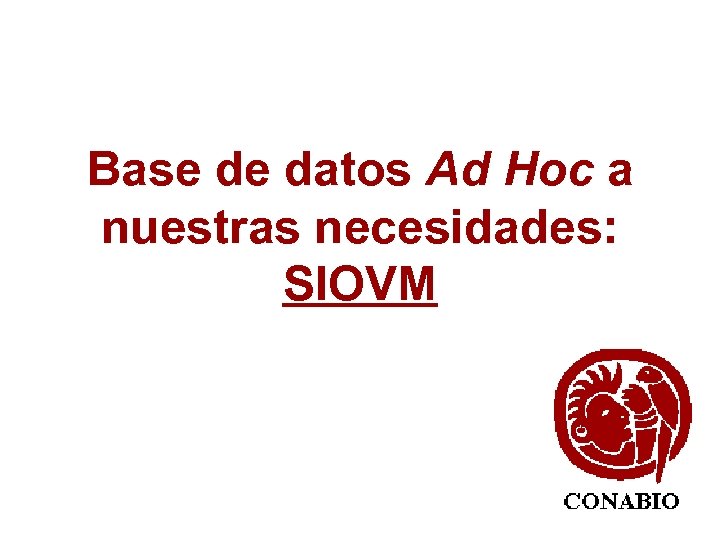 Base de datos Ad Hoc a nuestras necesidades: SIOVM 