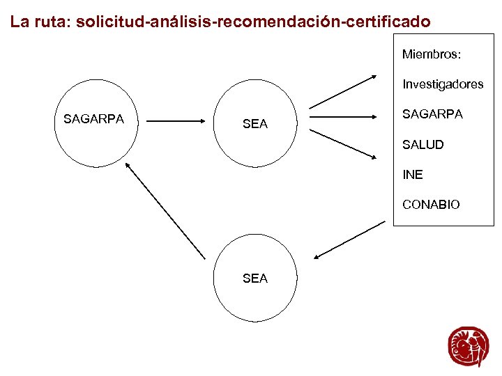 La ruta: solicitud-análisis-recomendación-certificado Miembros: Investigadores SAGARPA SEA SAGARPA SALUD INE CONABIO SEA 