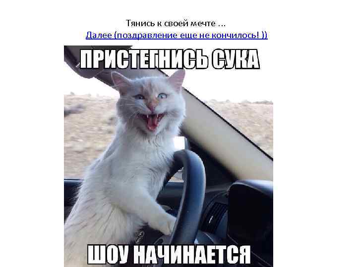 Тянись к своей мечте. . . Далее (поздравление еще не кончилось! )) 