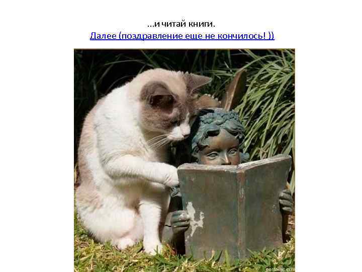 . . . и читай книги. Далее (поздравление еще не кончилось! )) 